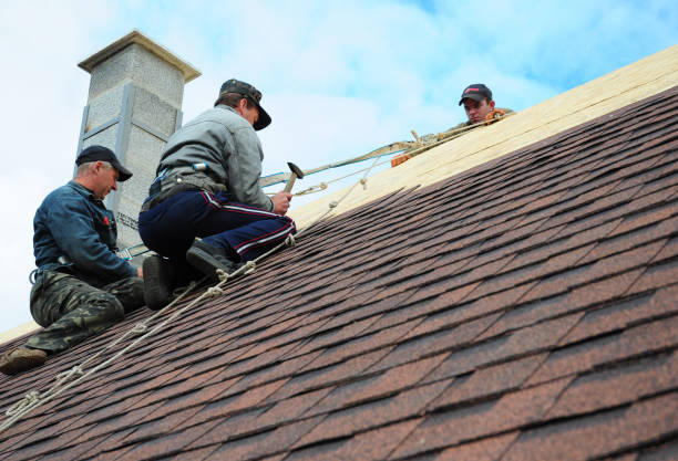 Best Gutter Installation and Roofing  in Bressler, PA